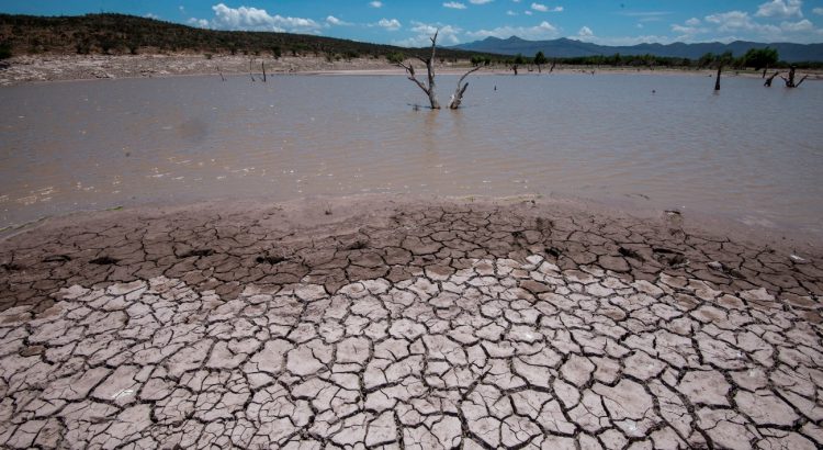 SDAYR apoyará a los productores que resultaron afectados por la sequía en el estado