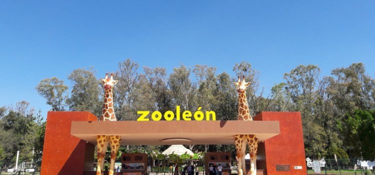 Buscan mejor hábitat de los animales del Zoológico de León
