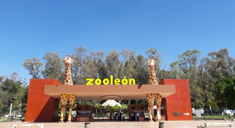 Buscan mejor hábitat de los animales del Zoológico de León