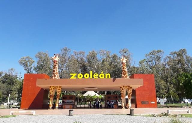 Fomentan el bienestar animal en el zoológico de León