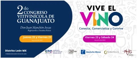 Presentan el evento «Vive El Vino» en León