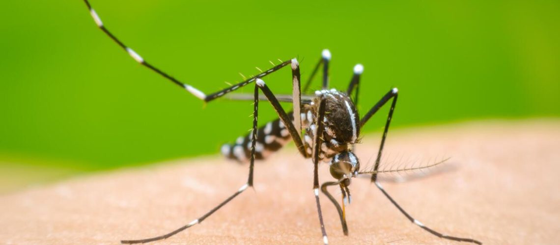 Incrementan los casos de dengue en la entidad
