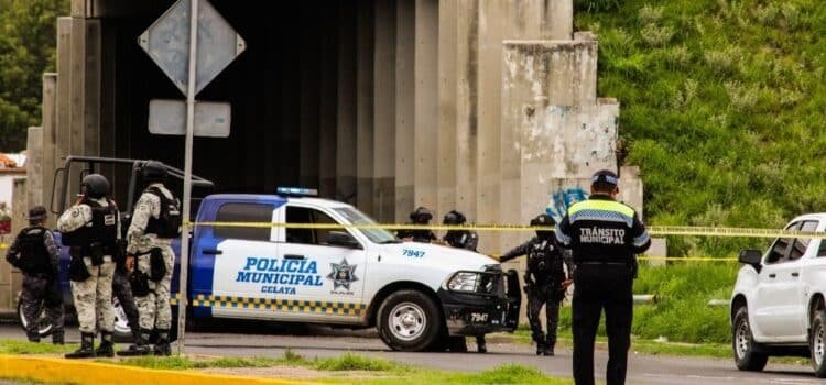 Diputada alerta sobre aumento de violencia y abandono de autoridades en Guanajuato
