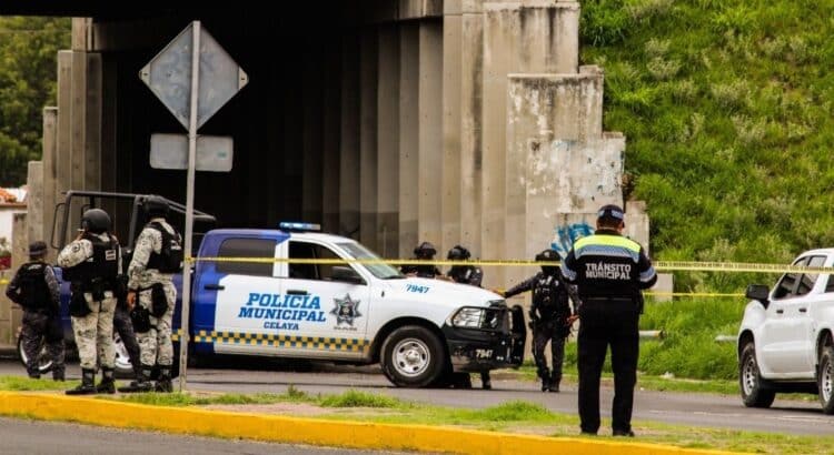 Diputada alerta sobre aumento de violencia y abandono de autoridades en Guanajuato