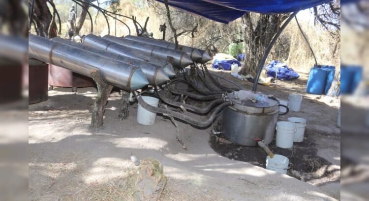 Golpe al crimen organizado en Guanajuato: aseguran narcolaboratorio en Acámbaro