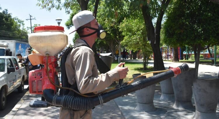 Guanajuato cierra 2024 con más de 3 mil casos de dengue