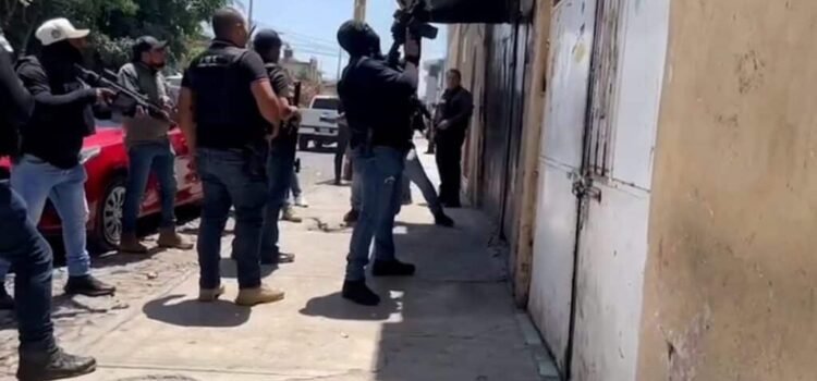 Asegura en Jalisco inmueble utilizado para peleas clandestinas de perros