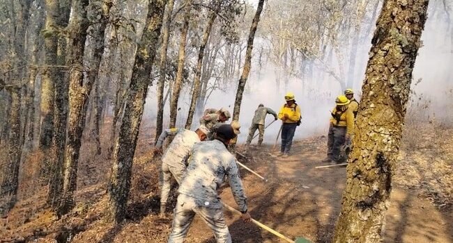 En Guanajuato, Guardia Nacional activa Plan DN-III-E para combatir incendio forestal