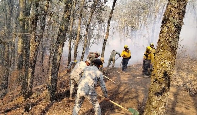 En Guanajuato, Guardia Nacional activa Plan DN-III-E para combatir incendio forestal