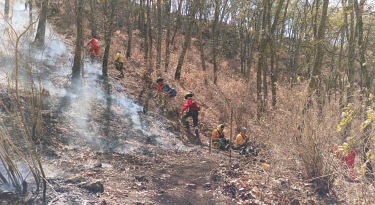 Incendio en la Sierra de los Agustinos sigue sin ceder