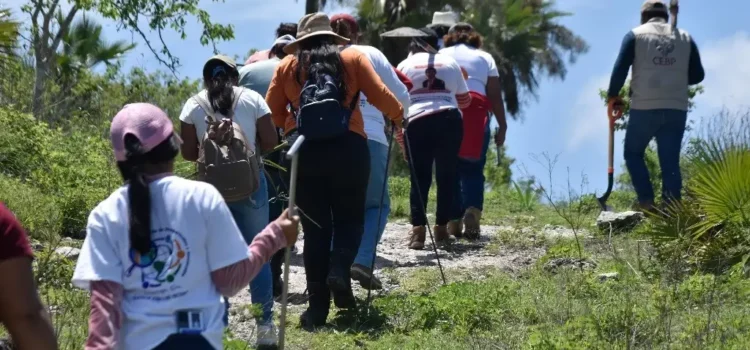Madres buscadoras de Guanajuato: vivir en la incertidumbre deteriora la salud física y emocional