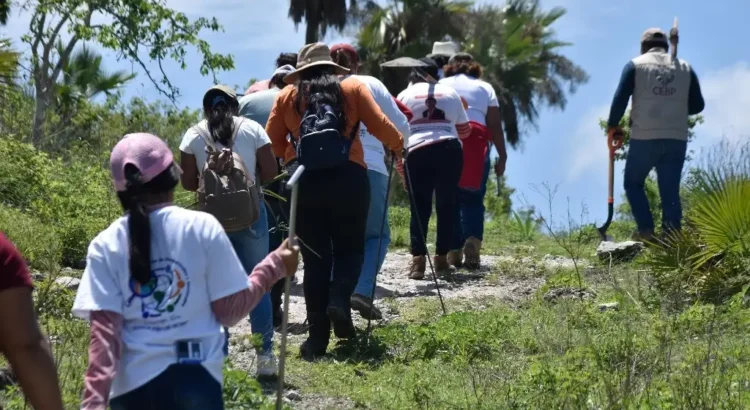 Madres buscadoras de Guanajuato: vivir en la incertidumbre deteriora la salud física y emocional