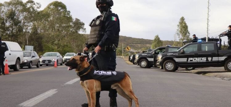 Reducen violencia en Guanajuato tras operativos federales