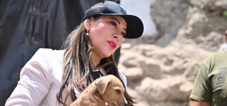 Reconoce alcaldesa de Guanajuato necesidad de endurecer sanciones por maltrato animal Reconoce alcaldesa de Guanajuato necesidad de endurecer sanciones por maltrato animal