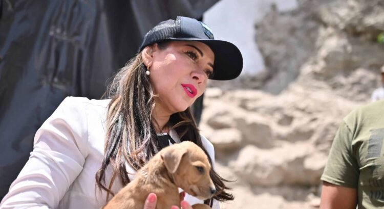 Reconoce alcaldesa de Guanajuato necesidad de endurecer sanciones por maltrato animal