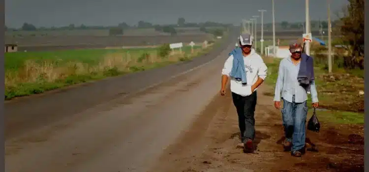 Braceros preparan marcha de Irapuato a Guanajuato capital por falta de apoyos Braceros preparan marcha de Irapuato a Guanajuato capital por falta de apoyos