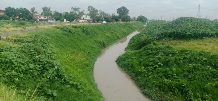 Guanajuato apoya búsqueda de adolescente en Michoacán tras caer en manglar con cocodrilos