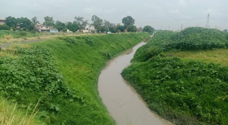 Guanajuato apoya búsqueda de adolescente en Michoacán tras caer en manglar con cocodrilos