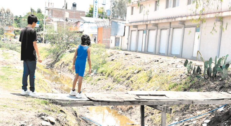 Ocho de cada diez infantes desaparecidos en Guanajuato son niñas