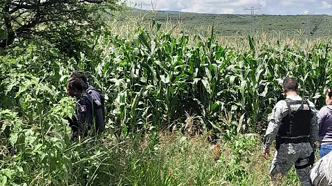 Descubren fosa clandestina en Guanajuato capital; recupera Fiscalía 17 cuerpos