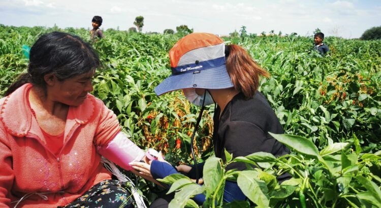 Trabajan en actualizar el protocolo de atención para migrantes y jornaleros migrantes de Guanajuato
