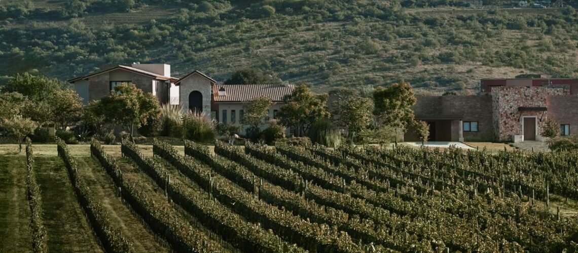 Ruta del Vino de Guanajuato, nominada como Mejor Región Vinícola de México