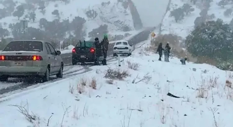 Frío extremo amenaza al estado de Guanajuato: se esperan temperaturas bajo cero Frío extremo amenaza al estado de Guanajuato: se esperan temperaturas bajo cero