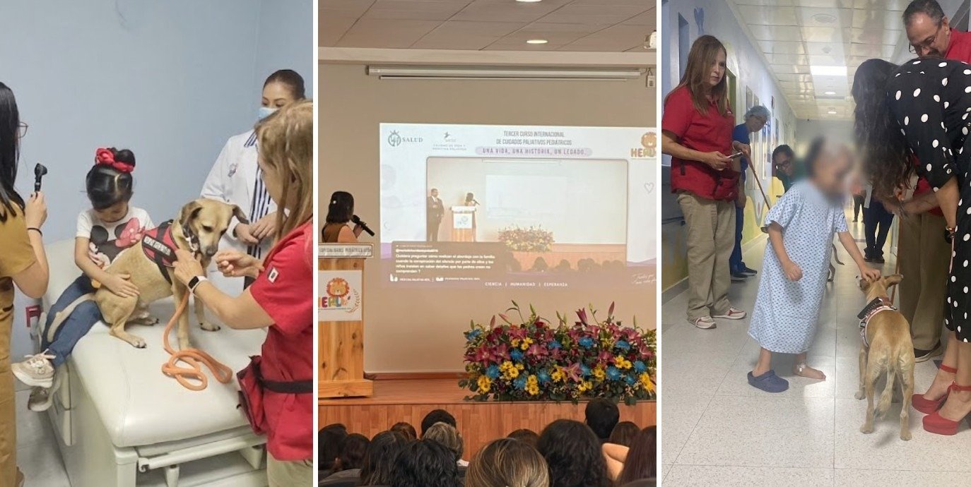 Guanajuato incorpora terapia asistida con animales para pacientes pediátricos